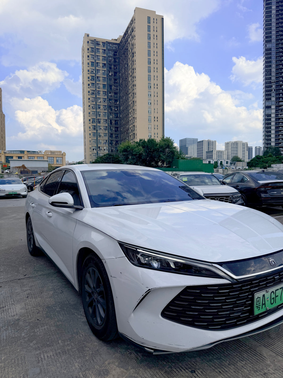 2024 BYD Qin L(White)