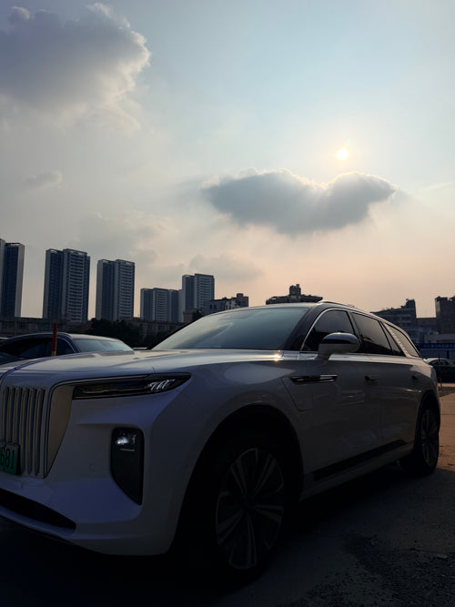 2021 Hongqi E-HS9